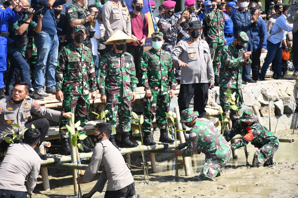 Polda Jateng Tanam Sejuta Pohon Mangrove Di Daerah Pesisir Pulau Jawa